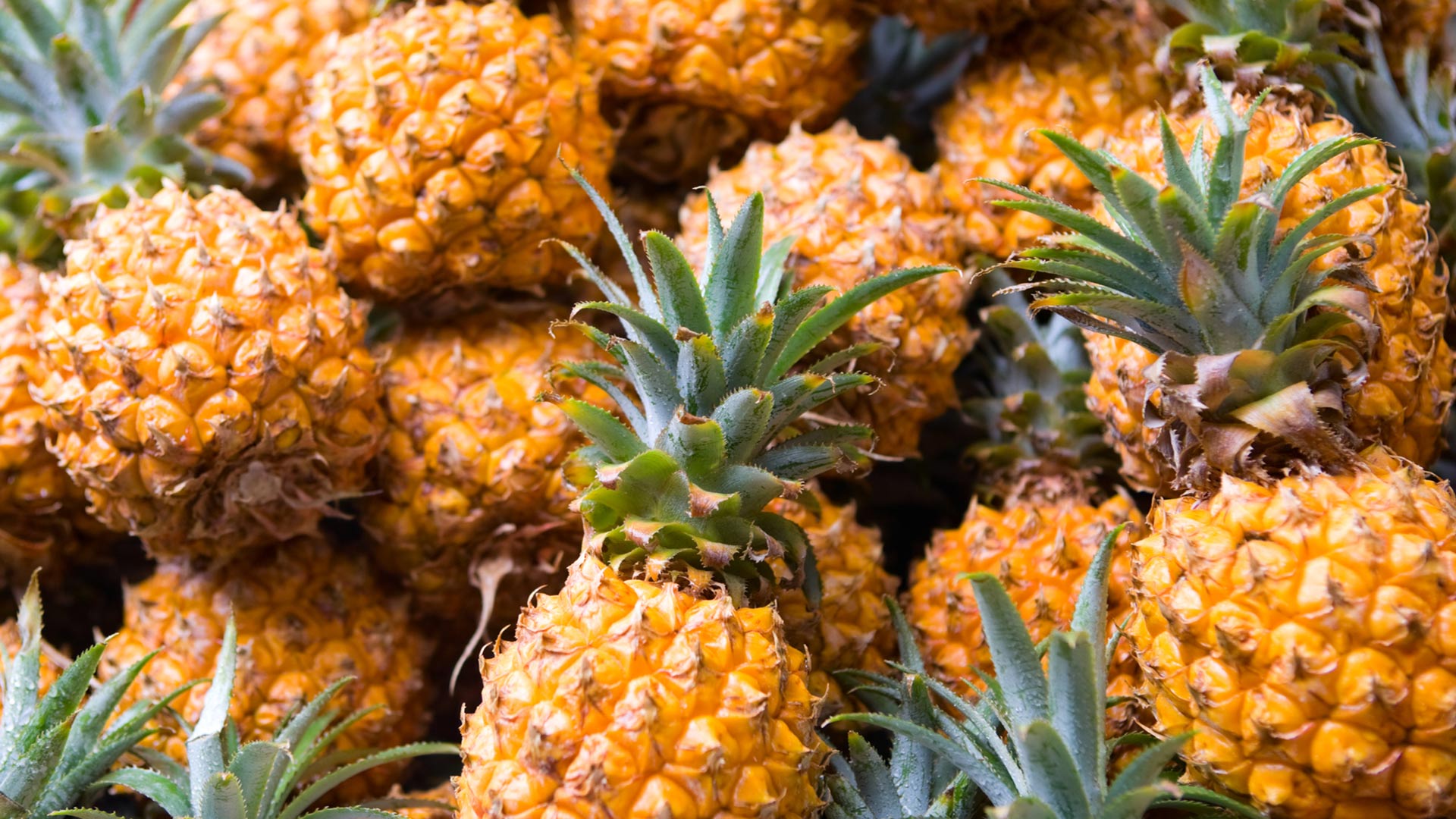 How pineapples are replacing petrochemicals