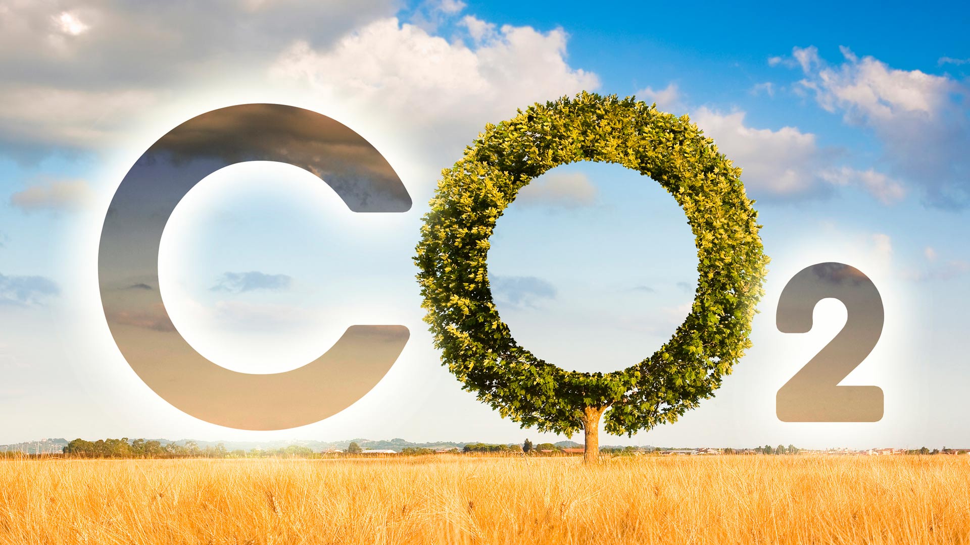 How CO2 could power the future